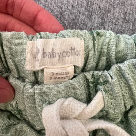 BabyCottons Palm Tree Shorts - Picture 3 of 3